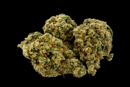 Fleur de CBD Blue Dream – Indoor / Hydroponie