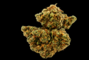 Fleur de CBD Blueberry Muffins – Indoor