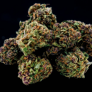 Fleur de CBD Crystal Saphir – Greenhouse