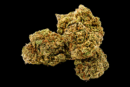 Fleur de CBD Critical – Indoor