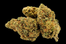 Fleur de CBD Moby Dick – Indoor