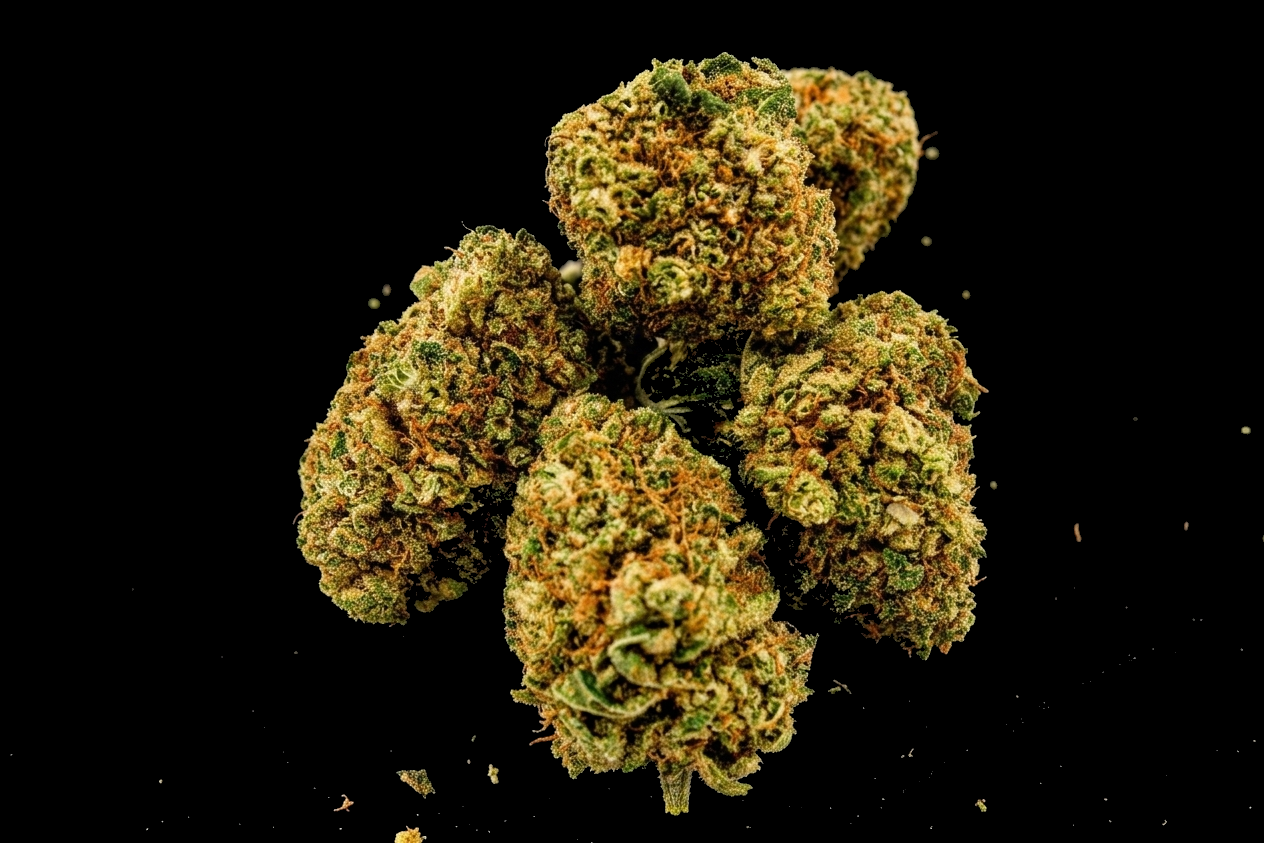 Fleur de CBD Monster Kush – Indoor