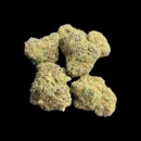 Fleur de CBD Cali Small Bud – Greenhouse