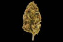 Fleur de CBD CHERRY MANGO - OUTDOOR