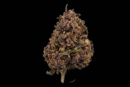 Fleur de CBD DEEP PURPLE – OUTDOOR