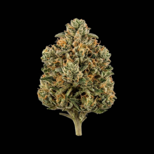 Fleur de CBD MANDARINA BUDDAHRK – OUTDOOR